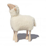 White Sheep Decor Available in 3 Styles - Nosy - Meier Germany - Playoffside.com