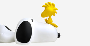 Snoopy Home Decor