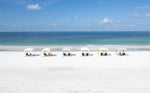Premium Antique White Cabana for Beach - Default Title - Business&Pleasure - Playoffside.com