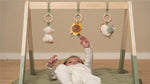 Wooden Babygym