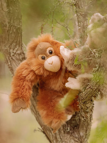 WWF Orangutan 23 cm - 9"