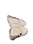 WWF Butterfly Offwhite Teddy bear - Default Title - Bon Ton Toys - Playoffside.com