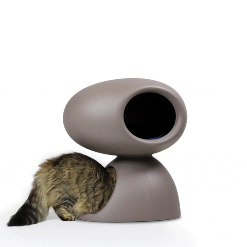 Cat Cave with Scratching Cushion