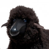 Decorative Sheep with Curly Brown Fur - Default Title - Meier Germany - Playoffside.com