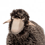 Lamb with Brown Wool Plush - Default Title - Meier Germany - Playoffside.com