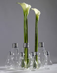 Vase Edison Bulb Available in 3 Sizes - Large - Serax - Playoffside.com