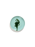 Ottolenghi Medium Stoneware Plates Available in 9 Styles - Azure Artichoke Green - Serax - Playoffside.com