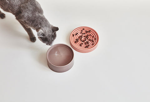MiaCara - Fresco Cat Bowl - Luxury Cat Feeder Available in 3 colours - Berry - Playoffside.com