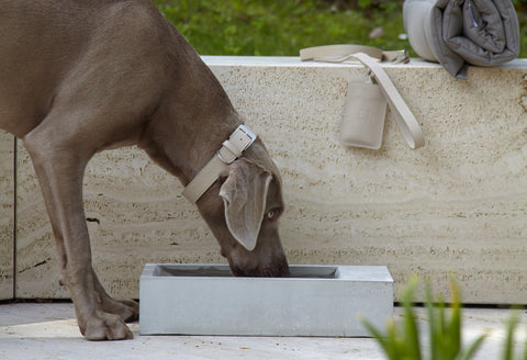 Robust & Design Outdoor Dog WaterBowl Made from Cement - LightGrey - MiaCara - Playoffside.com