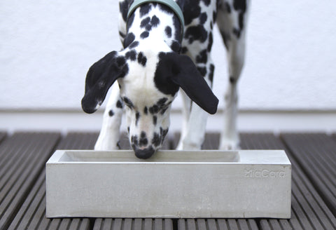 MiaCara - Robust & Design Outdoor Dog WaterBowl Made from Cement - LightGrey - Playoffside.com