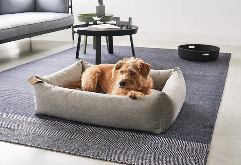 MiaCara - Mare Box Ecological Dog Bed Available in 4 Sizes - L / Sand - Playoffside.com