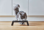 Contemporary Design Cat Feeder Desco Available in 4 coulours - Yellow - MiaCara - Playoffside.com