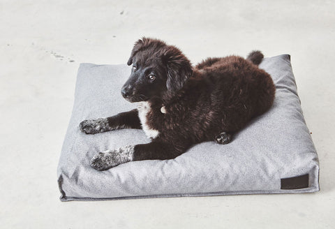 MiaCara - Luxury Orthopedic Dog Bed Available in 3 sizes & 5 Colours - L / Pink - Playoffside.com