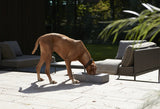 Robust & Design Outdoor Dog WaterBowl Made from Cement - LightGrey - MiaCara - Playoffside.com
