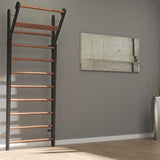 WallBars WaterRower Available in 5 Colors & 2 Styles - Club / 10 Bars - NOHRD - Playoffside.com
