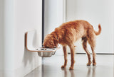 Minimalistic Luxury Wall Mounted Dog Feeder - Large / Grey - MiaCara - Playoffside.com