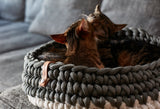 Cotton Knit Cat Bed Nido Available in 3 colours - Green - MiaCara - Playoffside.com