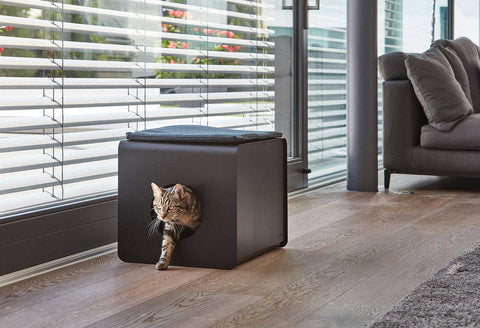 MiaCara - Smart Design & Quality Luxury Cat Litter Sito - Grey - Playoffside.com