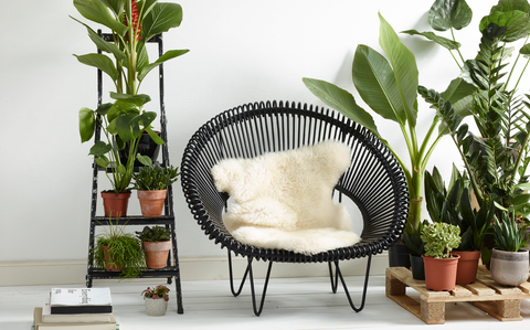 Cruz Cocoon Rattan Lounge Chair Available in 28 Colors - Olive green / Black frame - Vincent Sheppard - Playoffside.com
